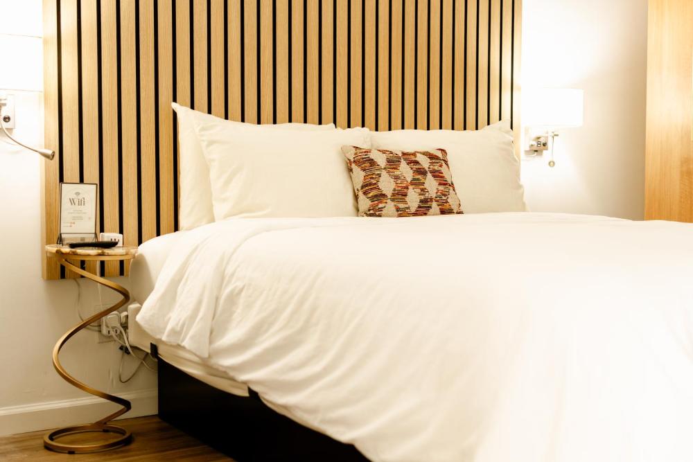 Single Room - Disability Access interior